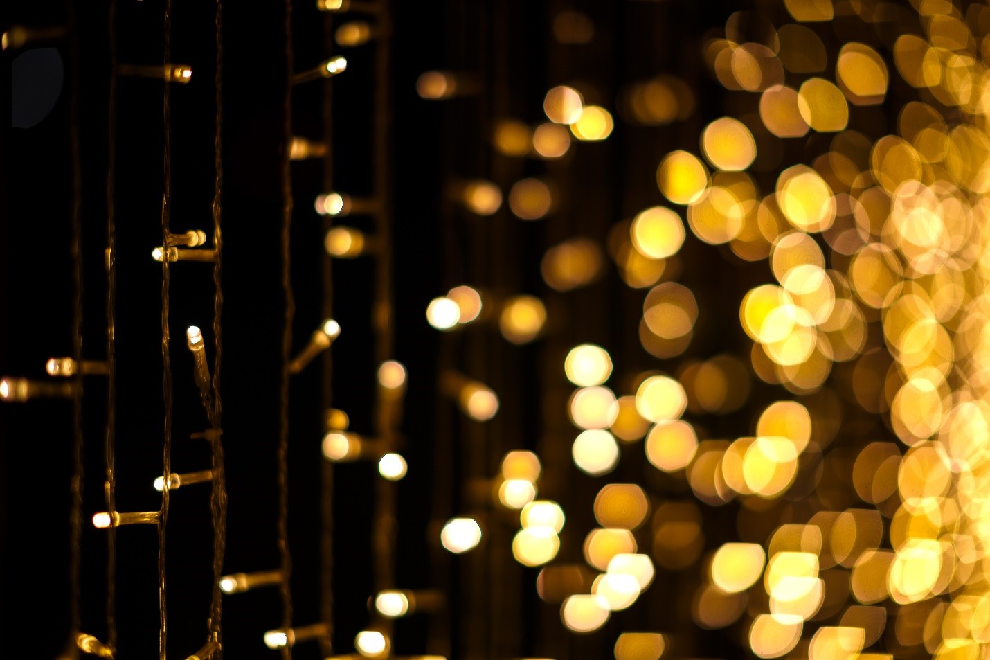 Best Places in Virginia to See Holiday Lights – Tis the Season to Sparkle