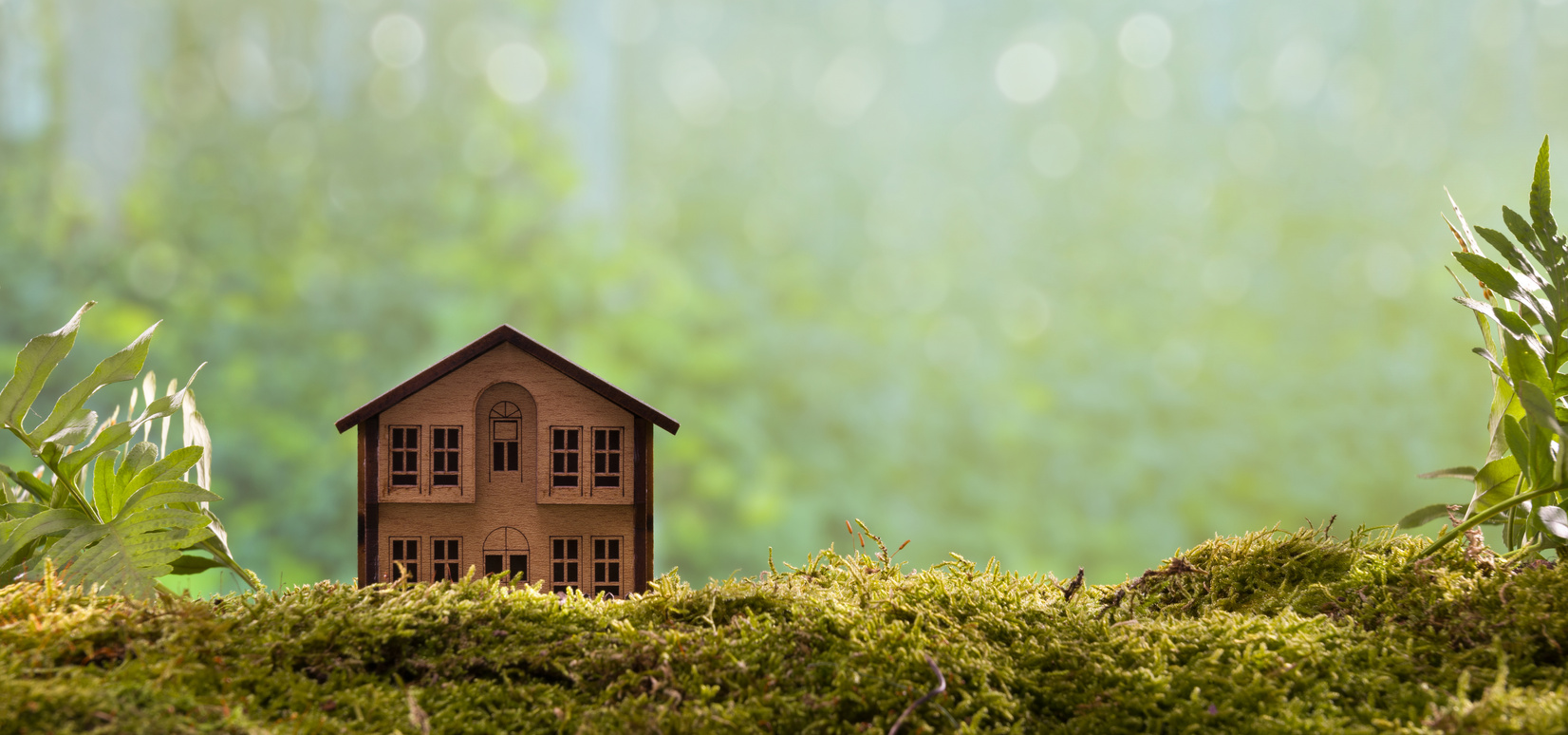 The Emergence of Eco-Conscious Interior Design Trends