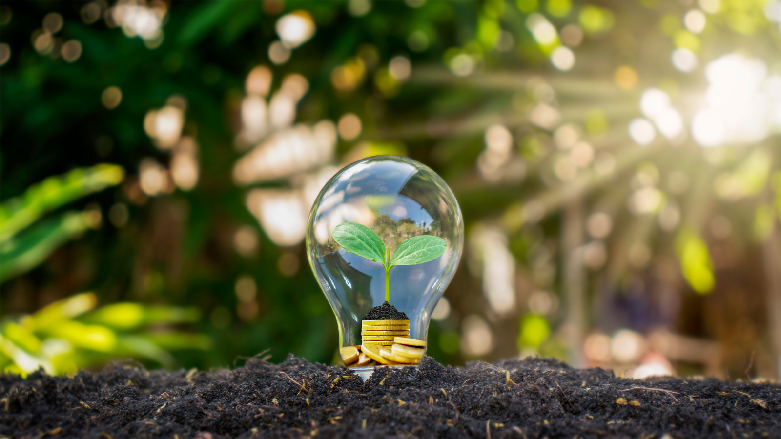 Embracing a Greener Future Switching Your Home to Renewable Energy