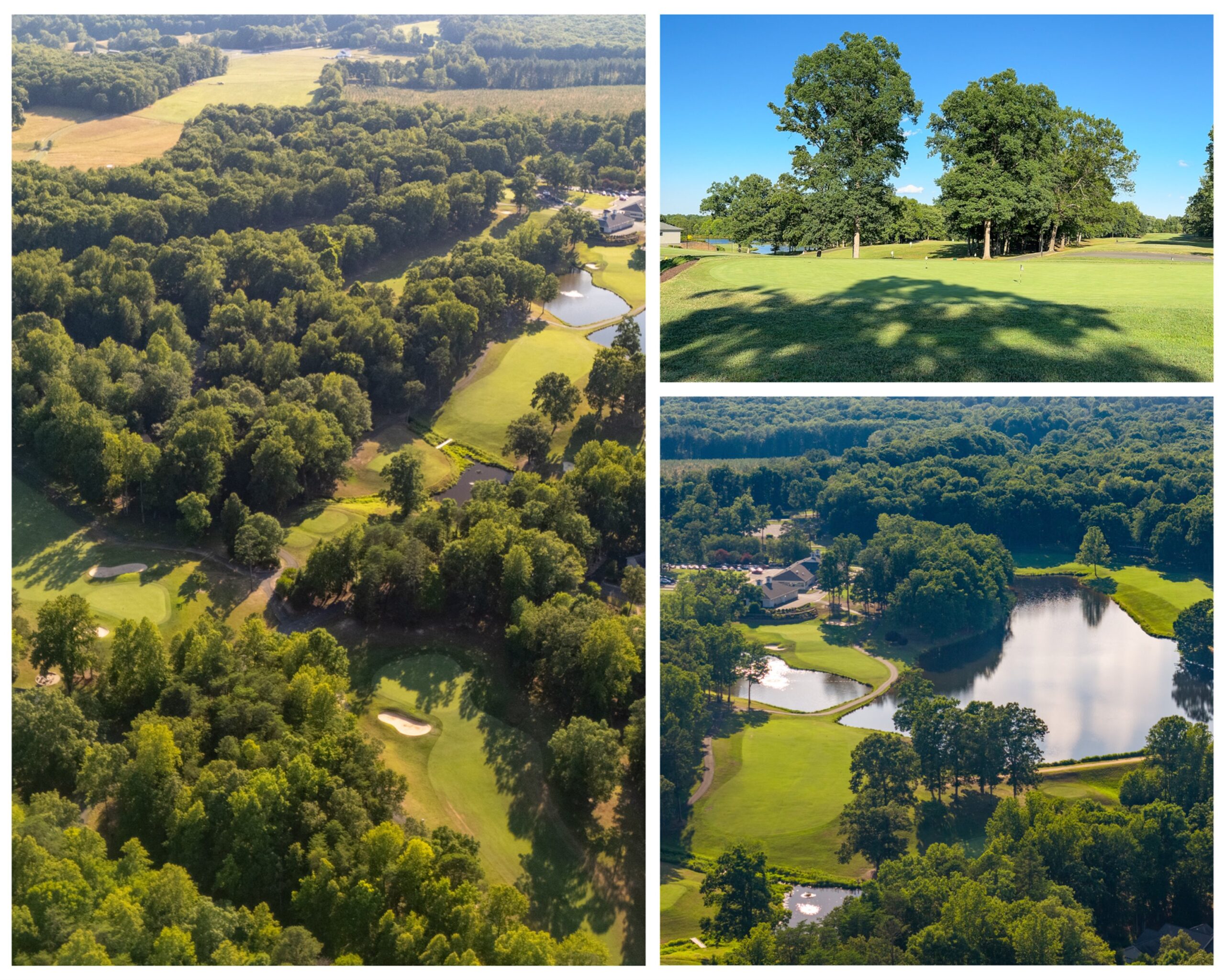 75-LM Golf Summer